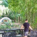 ���������� ������ ��������, ���� ������� �����, 38 ���, ������������ ��� ����� � ���������, c�������� ���������