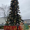  Sosnowiec,   , 40 ,     , c 