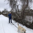  ,   Dmitrij, 70 ,     , c 
