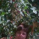  ,   Lora, 38 ,     , c 