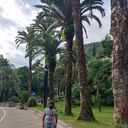 ���������� ���������, ���� ������� Vahe, 35 ���, ������������ ��� ������, ����� � ���������, c�������� ���������