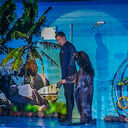 ���������� �����, ���� ������� ���������, 32 ����, ������������ ��� ������, ����� � ���������