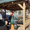 ���������� ����, ���� ������� ����, 43 ����, ������������ ��� ������, ����� � ���������, c�������� ���������