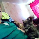 ���������� ������-���, ���� ������� ����, 39 ���, ������������ ��� ������, ����� � ���������, c�������� ���������