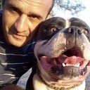 ���������� �������, ���� ������� ������, 50 ���, ������������ ��� ����� � ���������, c�������� ���������