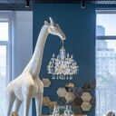 ���������� �����������, ���� ������� Assa, 38 ���, ������������ ��� ������, ����� � ���������