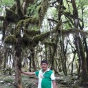  ,   , 51 ,   