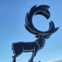 ���������� �������������-����������, ���� ������� �����, 37 ���, ������������ ��� ������, ����� � ���������