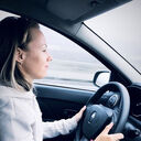 ���������� ���������, ���� ������� �����, 33 ����, ������������ ��� ������, ����� � ���������