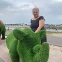 ���������� �����, ���� ������� �������, 51 ���, ������������ ��� ������, ����� � ���������, c�������� ���������, ���������