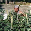 ���������� ��������������, ���� ������� �����, 48 ���, ������������ ��� ������, ����� � ���������, c�������� ���������