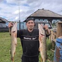 ���������� ������, ���� ������� ������, 37 ���, ������������ ��� ������, ����� � ���������