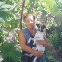  ,   , 55 ,     , c , 