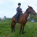  ,   Islam, 33 ,   ,   