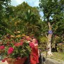 ���������� ������, ���� ������� ������, 56 ���, ������������ ��� ������, ����� � ���������, c�������� ���������