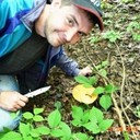 ���������� �����, ���� ������� �����, 41 ���, ������������ ��� ������, ����� � ���������, c�������� ���������