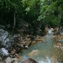 ���������� �����������, ���� ������� ������, 38 ���, ������������ ��� ������, ����� � ���������, c�������� ���������