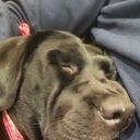 ���������� ������, ���� ������� �����, 43 ����, ������������ ��� ������, ����� � ���������, c�������� ���������