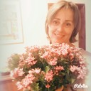 ���������� ���������, ���� ������� ����, 44 ����, ������������ ��� ������, ����� � ���������, c�������� ���������