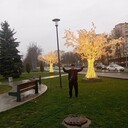 ���������� ������, ���� ������� ��������, 49 ���, ������������ ��� ������, ����� � ���������