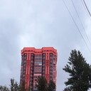 ���������� �����-���������, ���� ������� ����, 48 ���, ������������ ��� ������, ����� � ���������