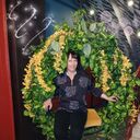  -,   , 46 ,   , 