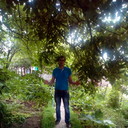   ,   , 41 ,  