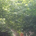 ���������� ���������, ���� ������� FAUST, 53 ����, ������������ ��� ������, ����� � ���������