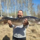 ���������� ������, ���� ������� ���������, 43 ����, ������������ ��� ������, ����� � ���������