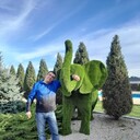  ,   , 54 ,   ,   