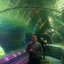 ���������� �����-���������, ���� ������� ����, 43 ����, ������������ ��� ������, ����� � ���������, c�������� ���������