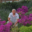  ,   , 65 ,  