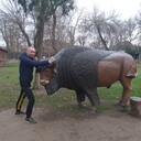 ���������� ������, ���� ������� �����, 41 ���, ������������ ��� ������, ����� � ���������