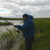  ,   Nargozin, 44 ,   