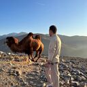 ���������� �����-���������, ���� ������� �����, 33 ����, ������������ ��� ������, ����� � ���������