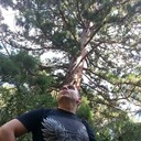 ���������� �����������, ���� ������� ������, 39 ���, ������������ ��� ������, ����� � ���������, c�������� ���������