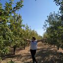 ���������� �����, ���� ������� �������, 51 ���, ������������ ��� c�������� ���������