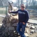 ���������� ����-�����������, ���� ������� ���, 40 ���, ������������ ��� ������, ����� � ���������