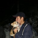 ���������� ���������, ���� ������� ������, 32 ����, ������������ ��� ����� � ���������, c�������� ���������