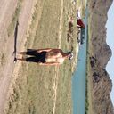 ���������� ������, ���� ������� ������, 33 ����, ������������ 