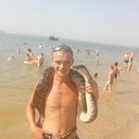 ���������� ��������, ���� ������� ����, 38 ���, ������������ ��� ������, ����� � ���������, c�������� ���������