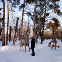 ���������� �����������, ���� ������� ������, 43 ����, ������������ ��� ������, ����� � ���������