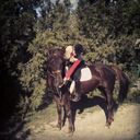 ���������� ��������, ���� ������� ����, 29 ���, ������������ ��� ����� � ���������, c�������� ���������