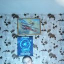 ���������� ������, ���� ������� ����, 39 ���, ������������ ��� ������, ����� � ���������, c�������� ���������