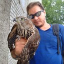 ���������� ������, ���� ������� �������, 34 ����, ������������ ��� ������, ����� � ���������