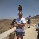 ���������� ������, ���� ������� �����, 46 ���, ������������ ��� ������, ����� � ���������, c�������� ���������