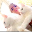 ���������� ������, ���� ������� ������, 34 ����, ������������ ��� ������, ����� � ���������