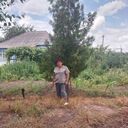  deleted,   , 53 ,   ,   