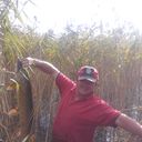 ���������� �����, ���� ������� �������, 43 ����, ������������ ��� ������, ����� � ���������, c�������� ���������