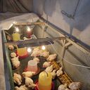 ���������� ��������, ���� ������� ������, 53 ����, ������������ ��� ������, ����� � ���������, c�������� ���������